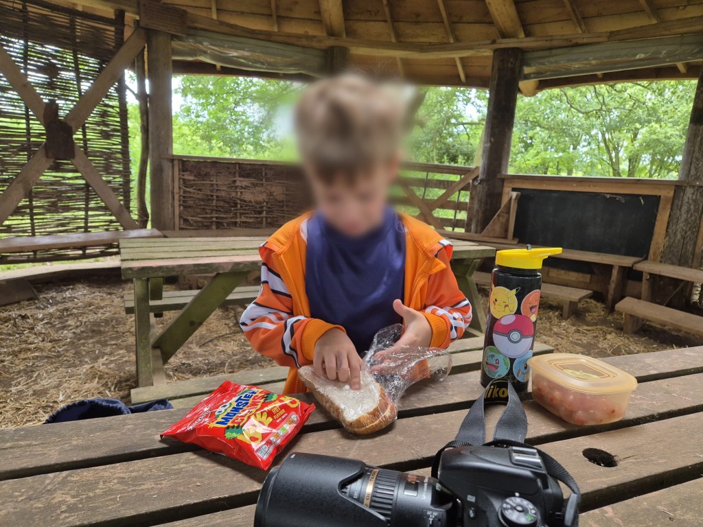A shelter with picnic benches at Ford Hall Farm.