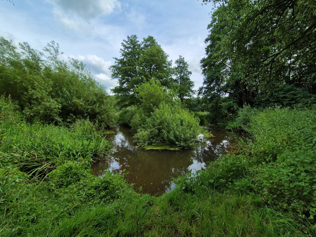An oxbow in the River tern clearly visable from the bottom most point of the u-shape it makes, surrounded by trees and grasses.
