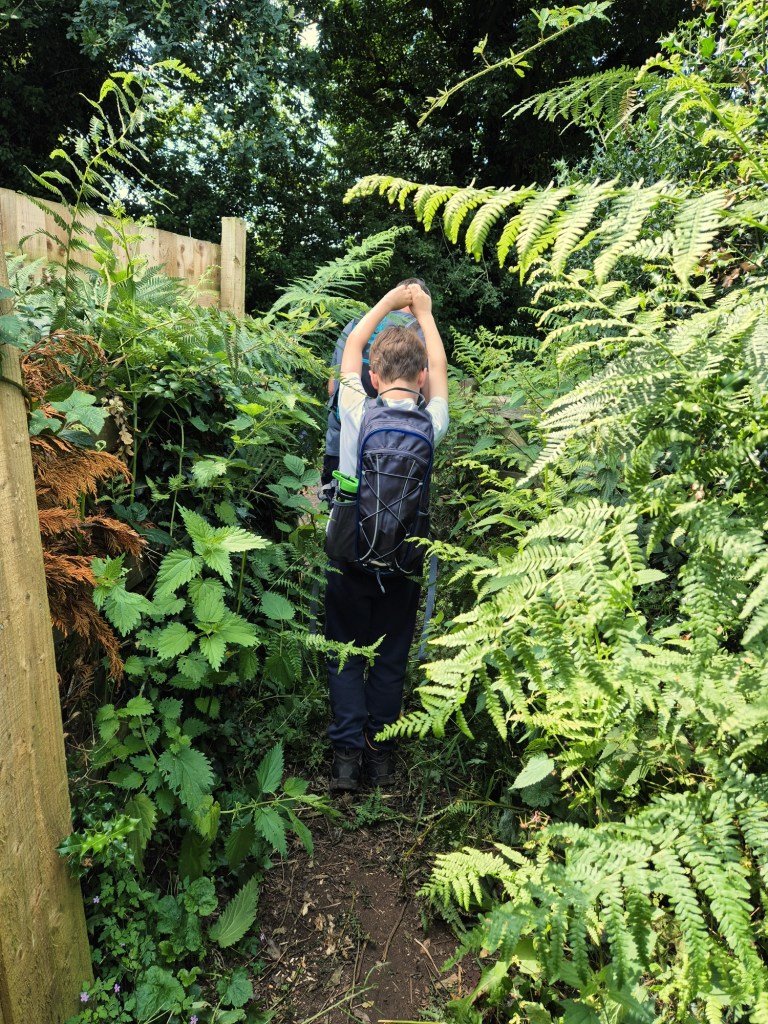 A boy walks through a narrow footpath surrounded by ferns, nettles and brambles. He has a backpack on his back and has raised his arms.