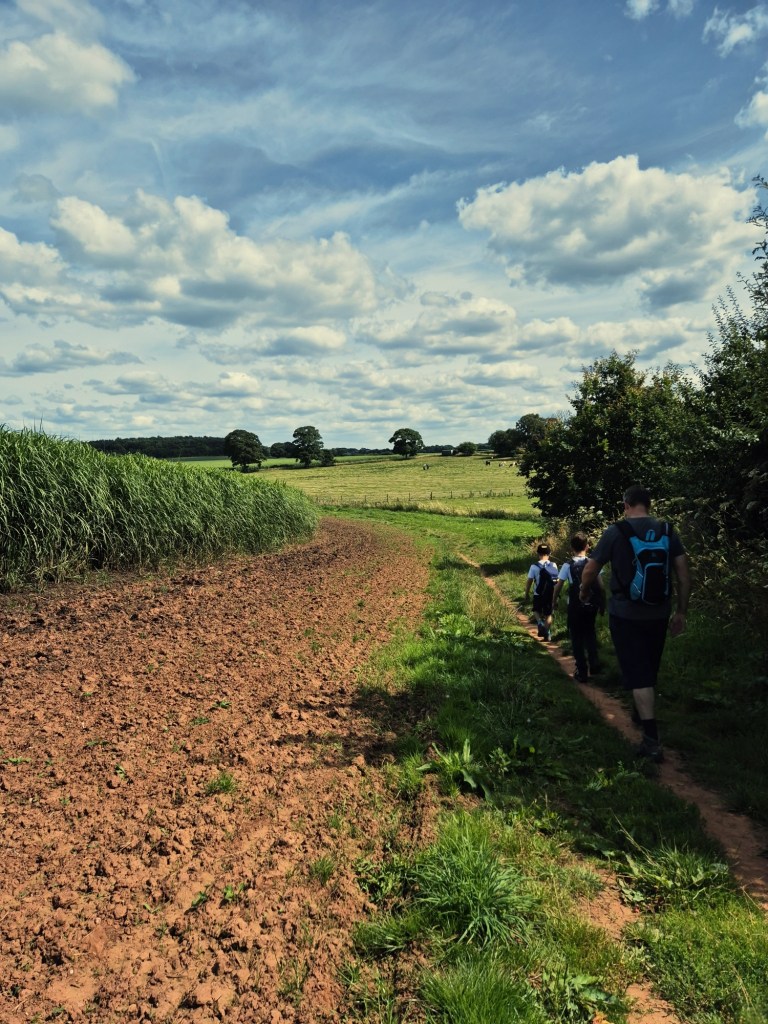 2 boys and a man, all with backpacks, walk down the side of a field on a well trodden but narrow footpath. On one side is a hedgerow and on the other side it a field filled with elephant grass.