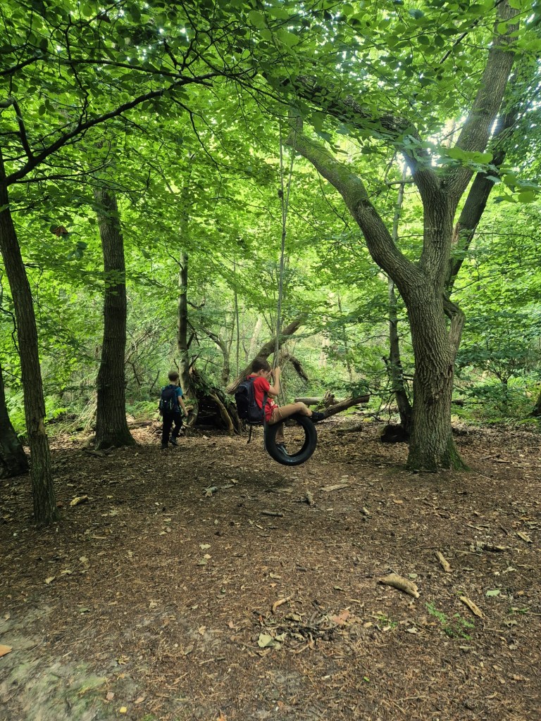 A boy in the woods plays on a tyre swing