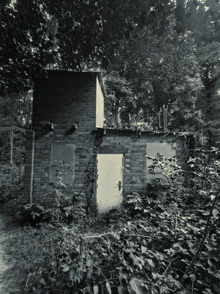 An old seemingly disused building with boarded up windows sits in the woodland surrounded by trees and ivy.