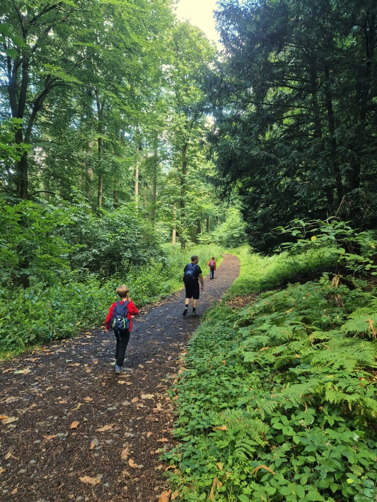 2 boys and a man walk along a woodland path surrounded by trees and bracken