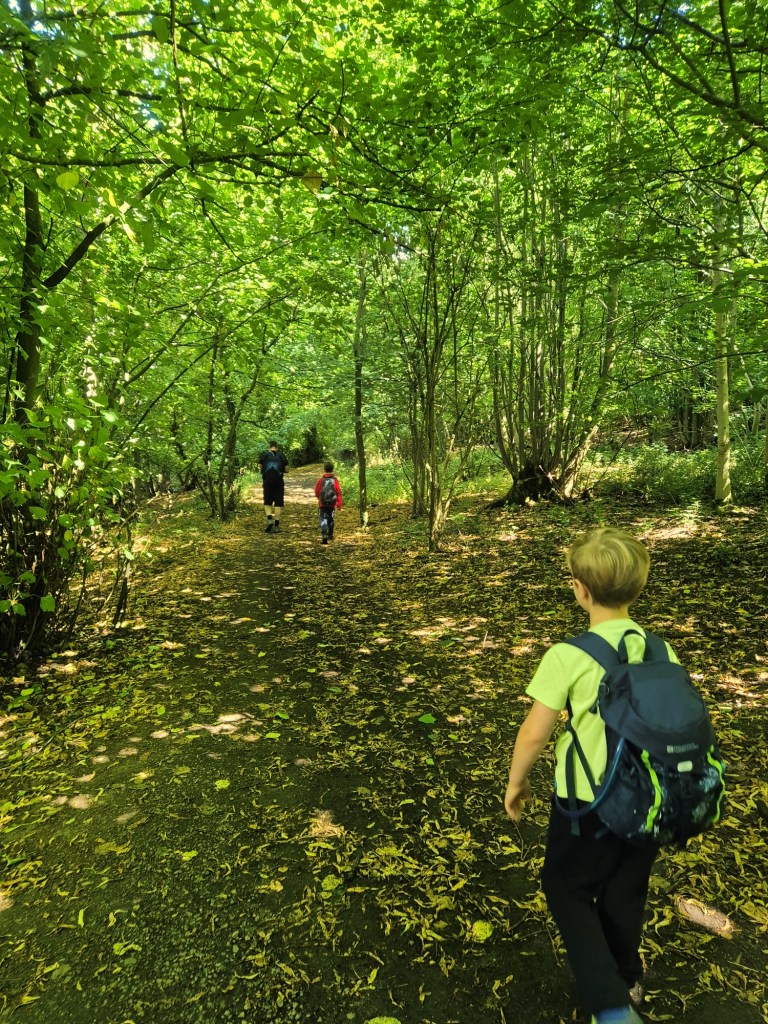 2 boys and a man walk through a leafy pathway beneath woodland