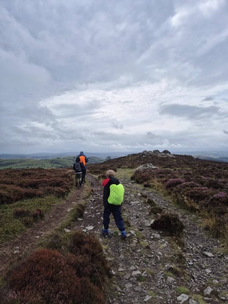 2 children and a man walk down a rocky path surrounded by heather