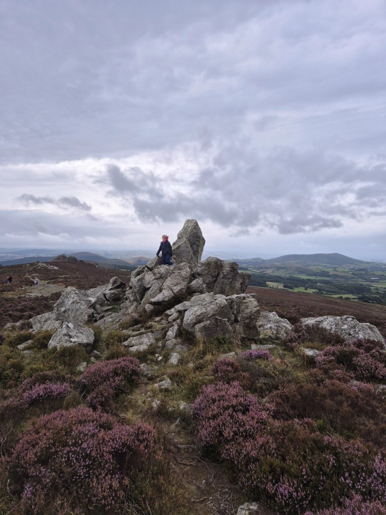 a child climbs a rocky outcrop surrounded by heather