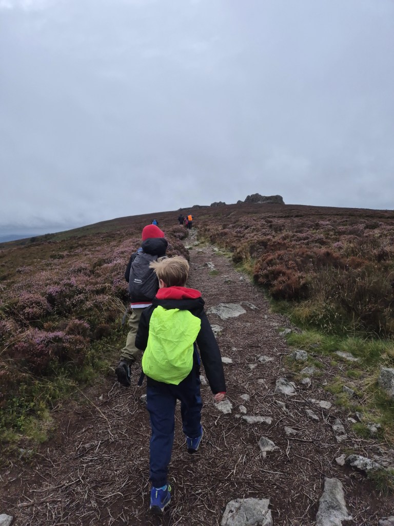 2 boys in wet weather walking gear walk up a rocky path with heather either side of them and big rocks in the distance