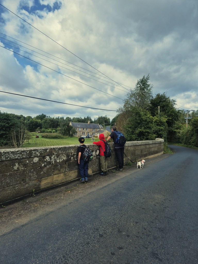 2 boys and a man with a dog looking over a bridge