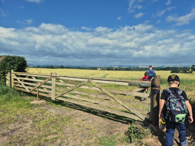 2 boys and a man walk past 2 wooden gates into a field.