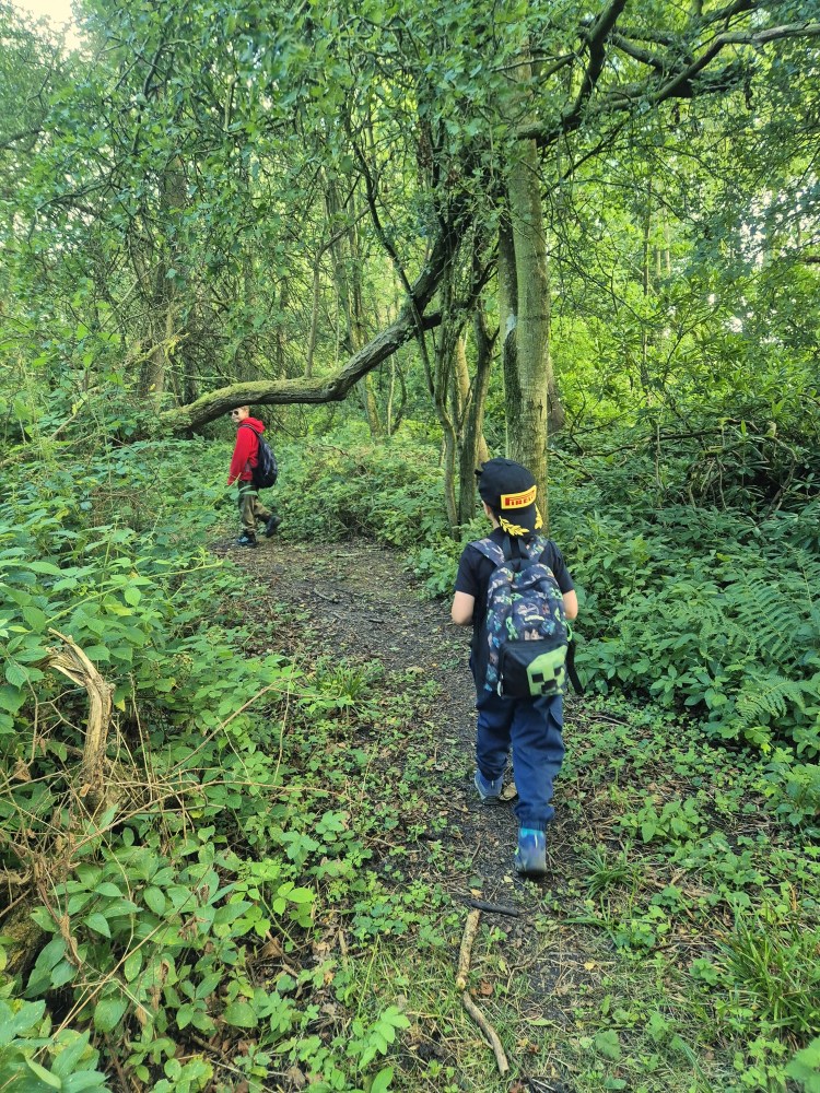 2 boys walk through woodland