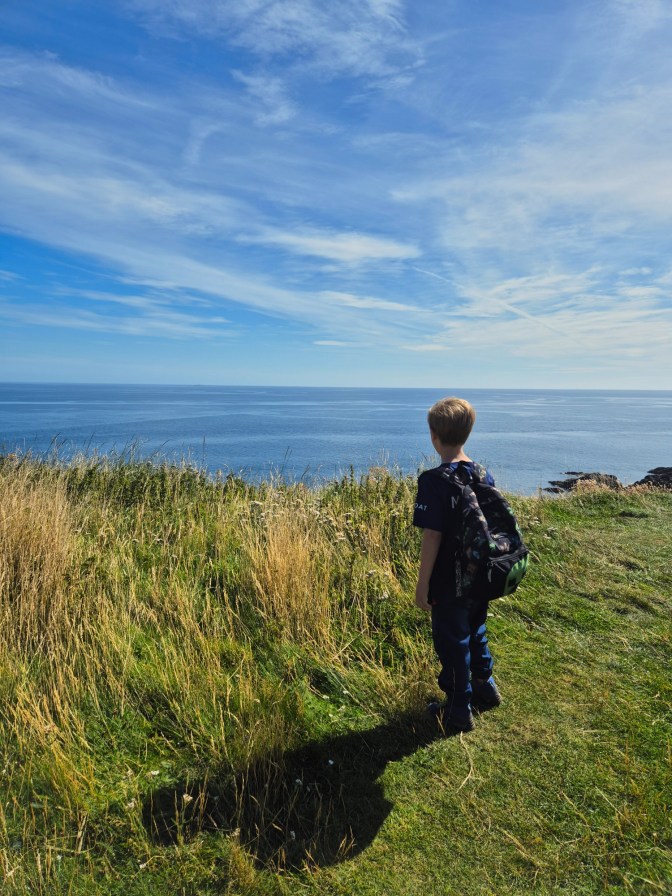 a young boy wearing a backpack stands on a grassy cliff overlooking the ocean