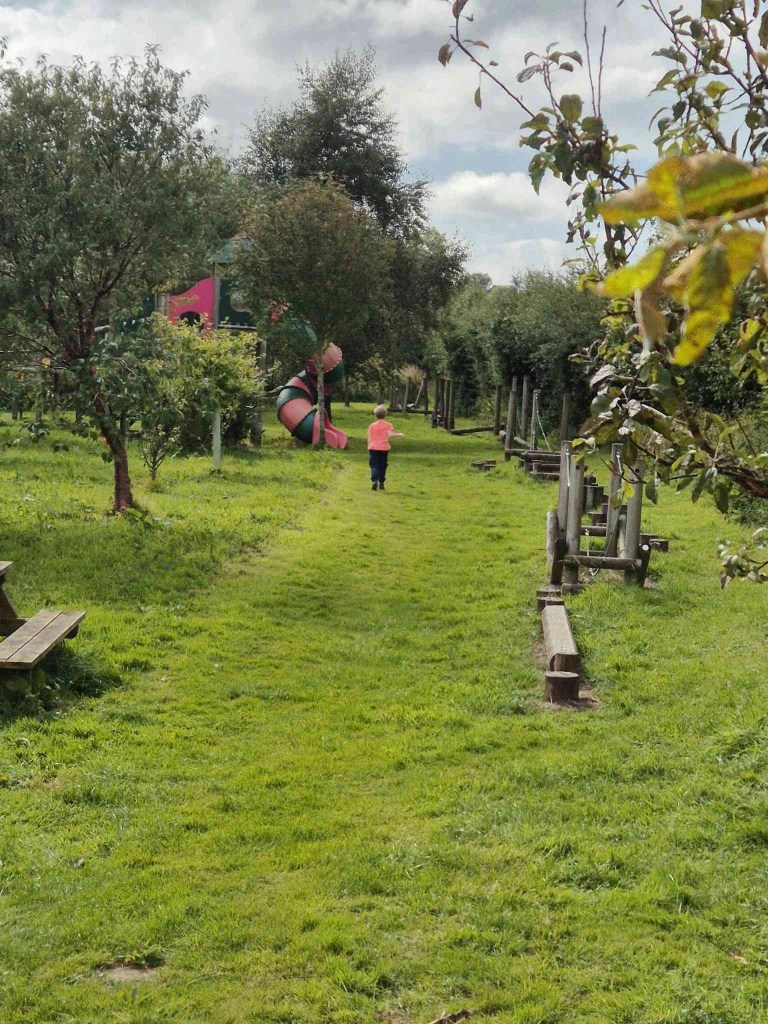 Child runs towards wooden play equipment in a park
