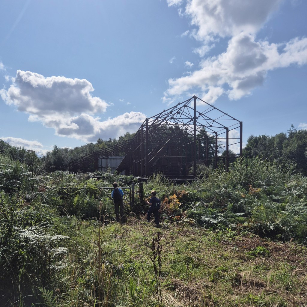2 boys standing by a gate looking toward an old framework of what was once an engine shed