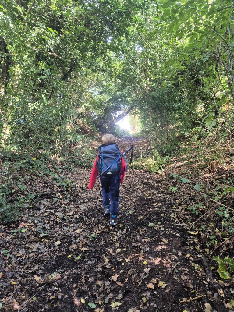 A boy with a backpack and trekking poles walks up a leafy bridleway