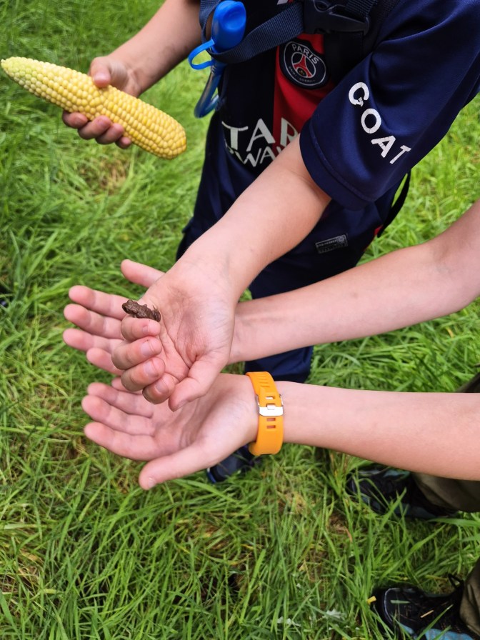 2 boys hold a small frog and a piece of corn