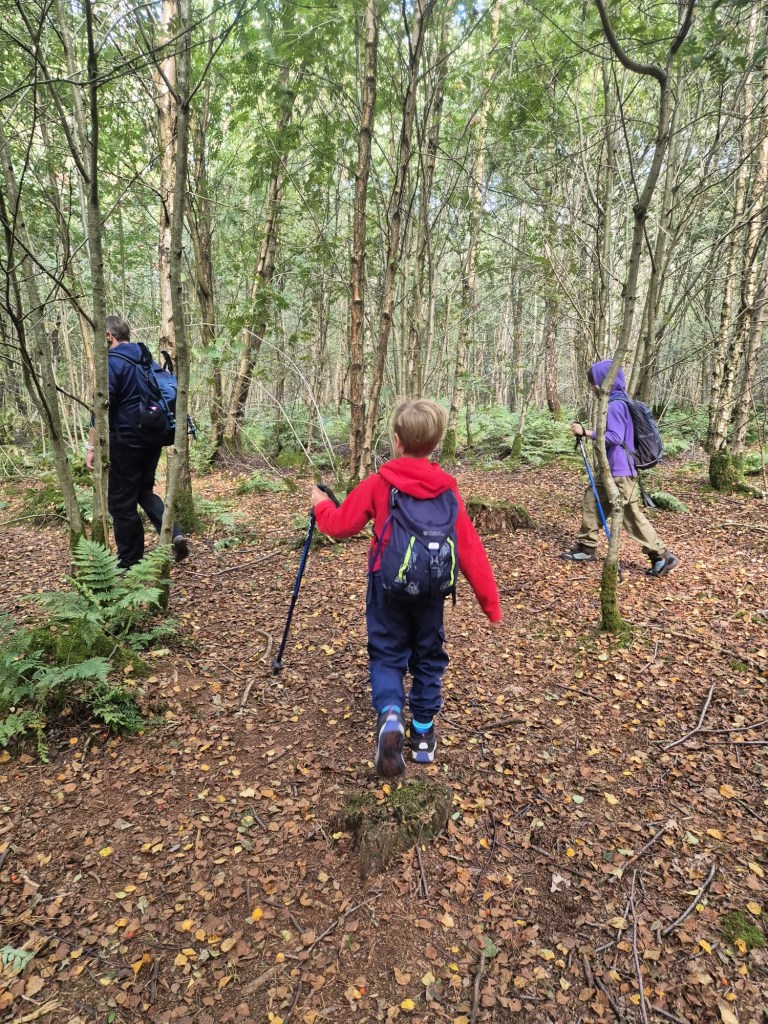 2 boys and a man with trekking poles walk across a leafy woodland floor