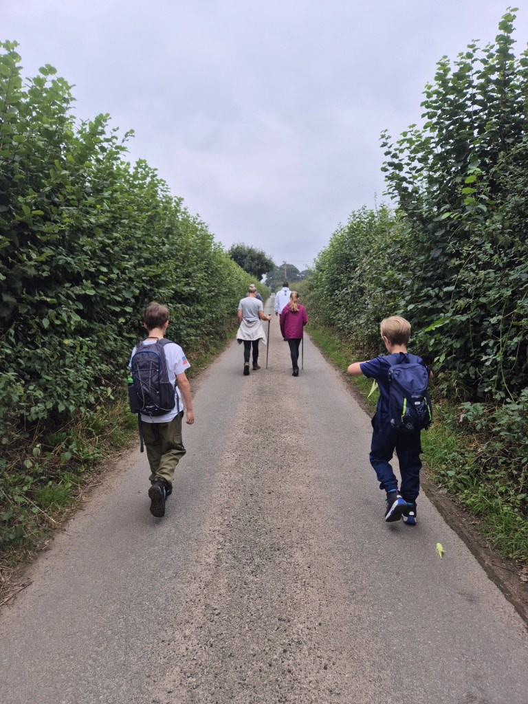 a groud walk up a country lane