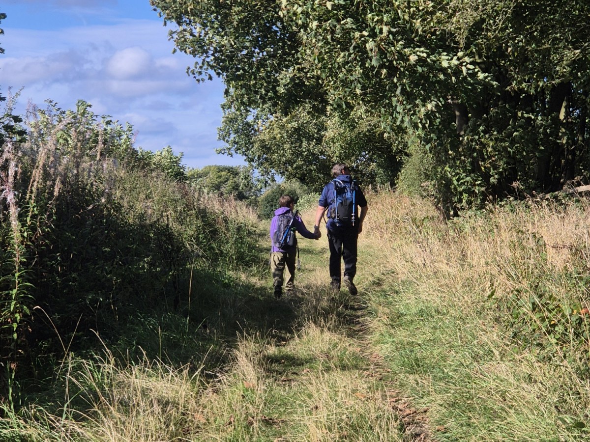 Hanchurch Woods Blue Walk – Family-Friendly Woodland Loop in&nbsp;Staffordshire