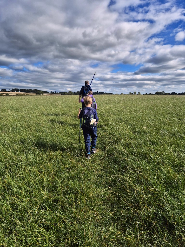 2 boys and a man walk across a grassy field