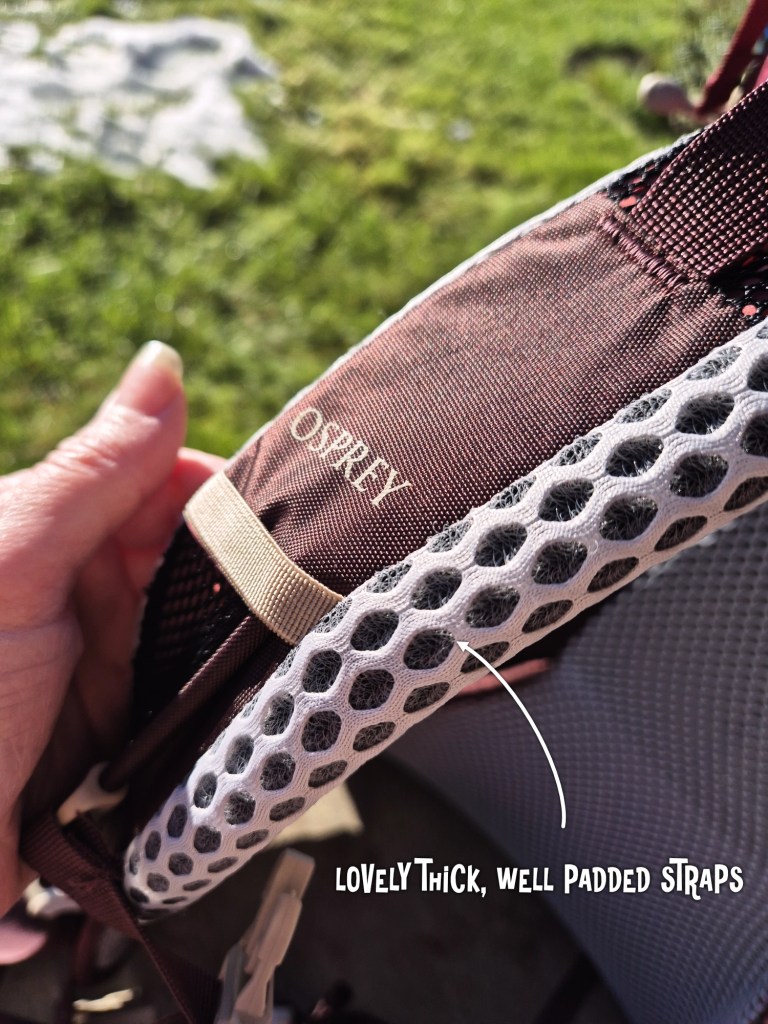 Osprey Sirrus padded straps