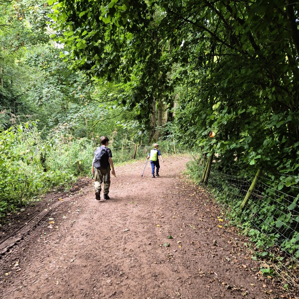 2 boys, one with a trekking pole, walk down an old track with a rickety fence one side and trees the other