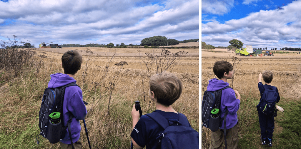 2 boys watch a combine harvester in a field