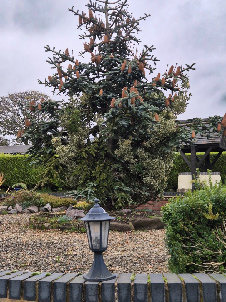 an old style lamp on a brick wall