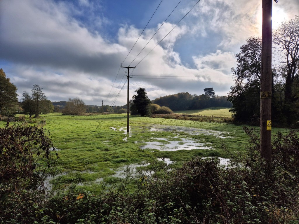 a photo of a very wet field