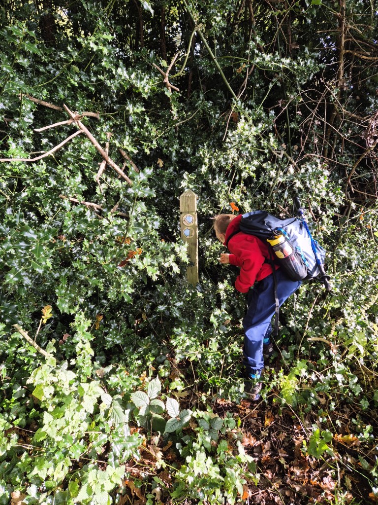 a boy reaches into a holy filled cavity with a way marker on a wooden post
