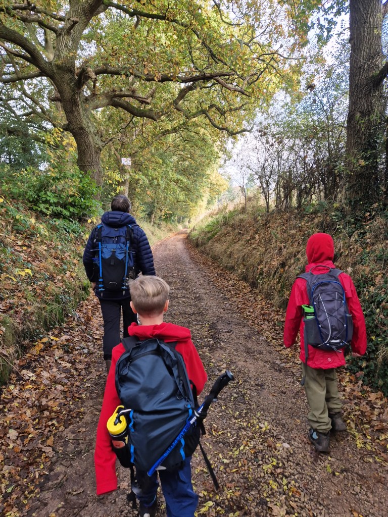 2 children and a man in walking gear walk along a small country lane