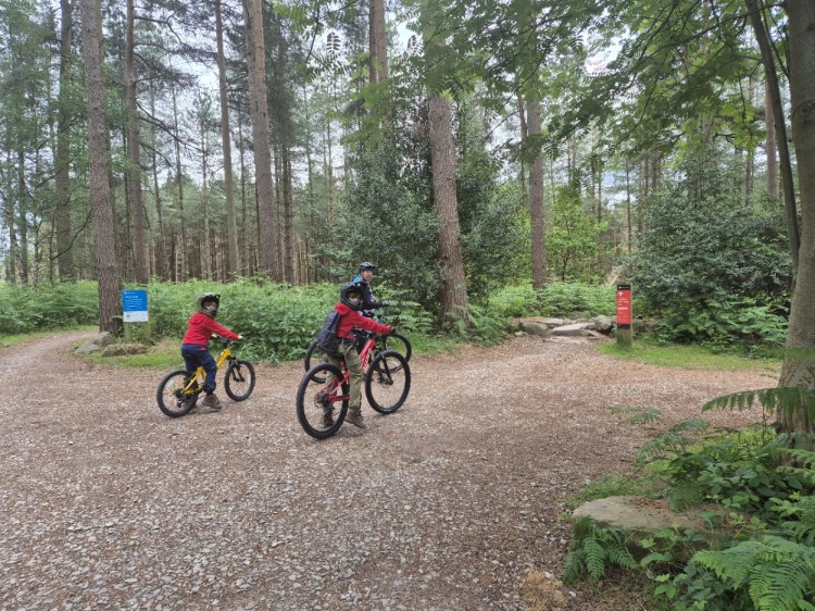 Two children and an adult on mountain bikes pause at a trail junction in the forest at Cannock Chase, wearing helmets and surrounded by tall pine trees and trail signs.