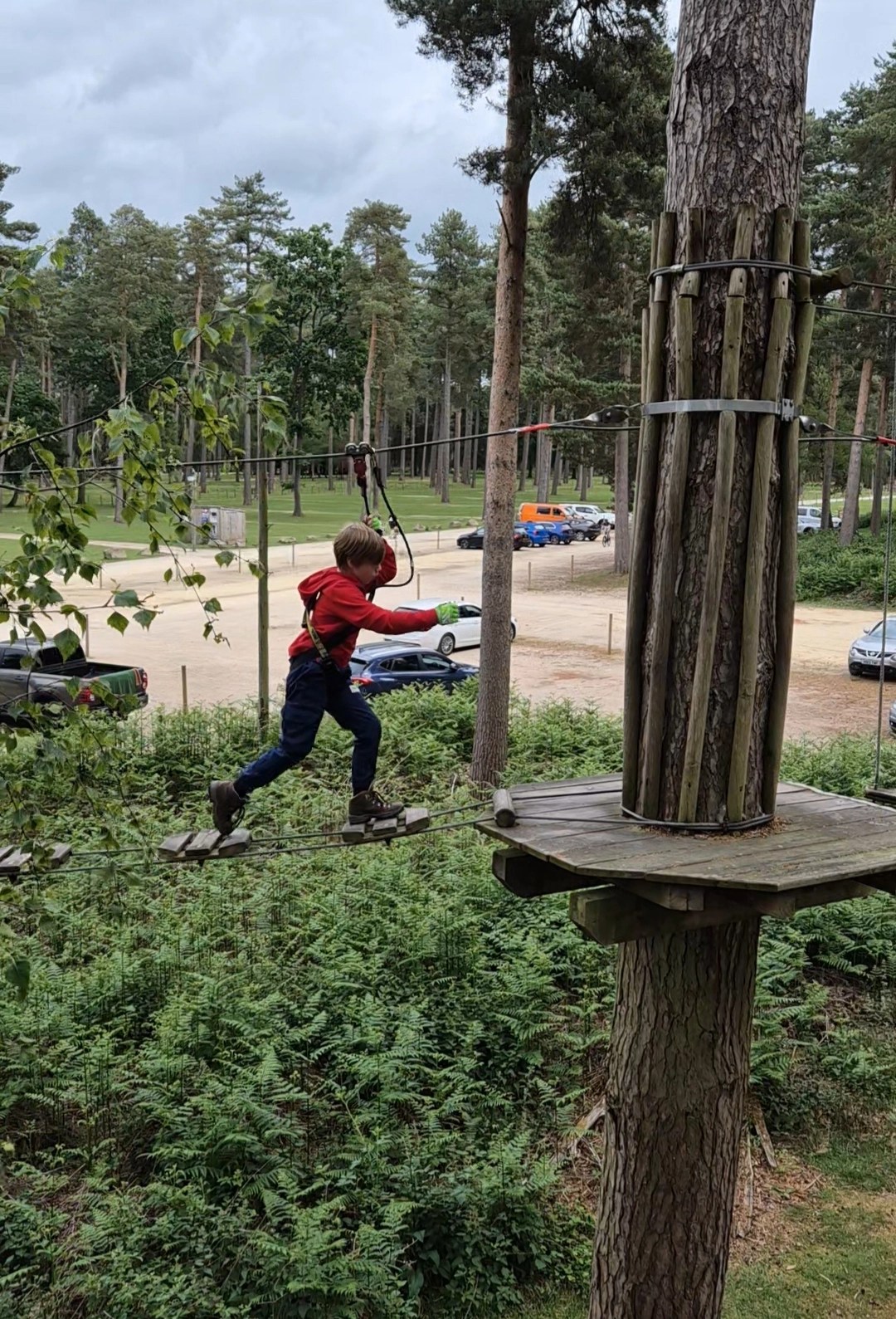Boy walks across a treetop course