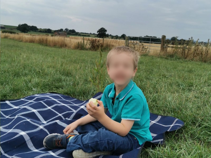 Free or Low-Cost Outdoor Ideas for Children #11:&nbsp;Picnics