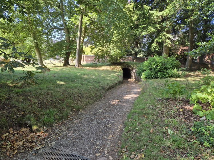 A pathway in a forest leading to a small tunnel under an old bridge