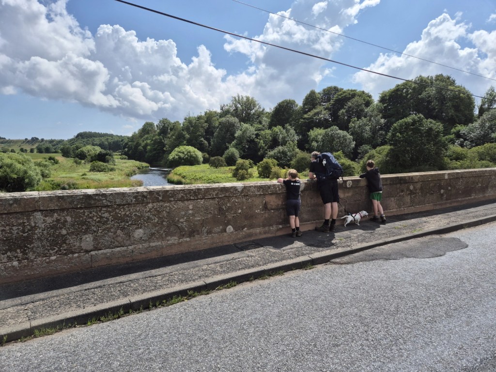 2 boys, a jack russel and a man with a backpack stand overlooking a wall that goes over a wide river which can be seen just beyond the top of the wall, leading to woodland.