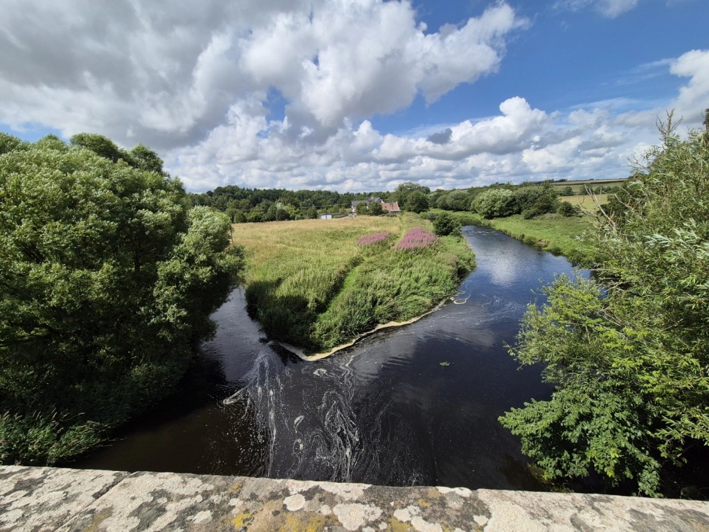 Two wide rivers meet, with a field between them and the wall of a bridge in the foreground