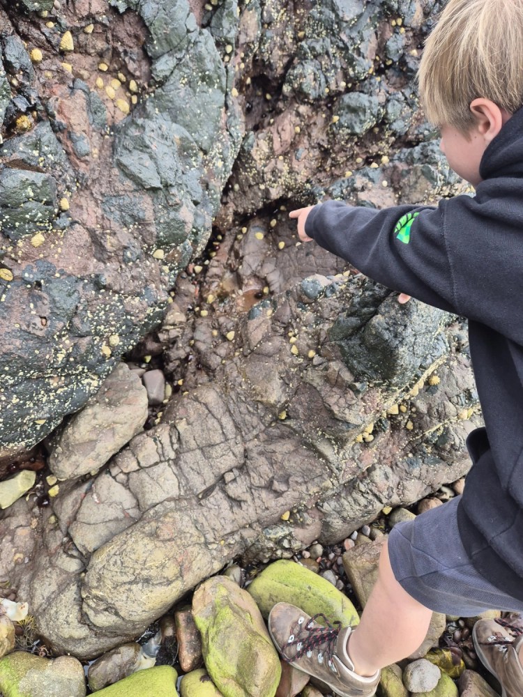 Child pointing excitedly into a shallow rock pool on the shore