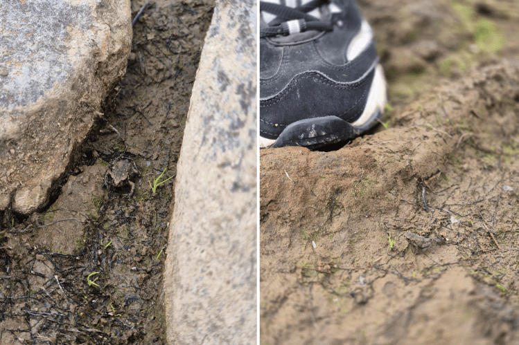 Close-up of a weathered brick embedded in dry soil and a tiny frog at Whiteadder Reservoir