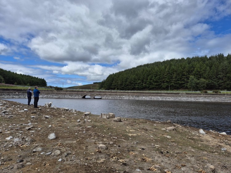 Wide view of Whiteadder Reservoir with exposed mudflats and distant trees