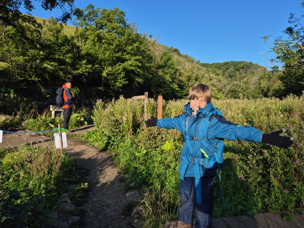 Children exploring wildflowers and tall plants beside a woodland trail