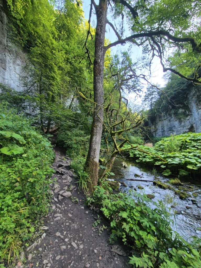 Lush green riverside path winding through steep valley walls