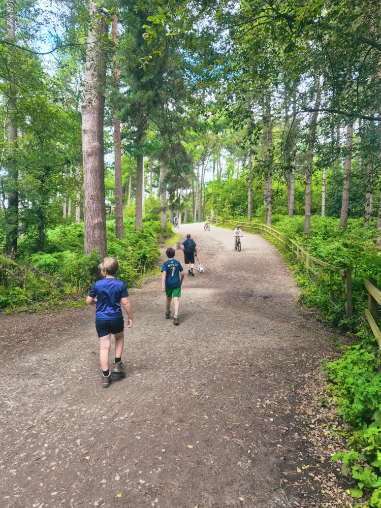 Family walking along a wide gravel path surrounded by trees at Delamere Forest