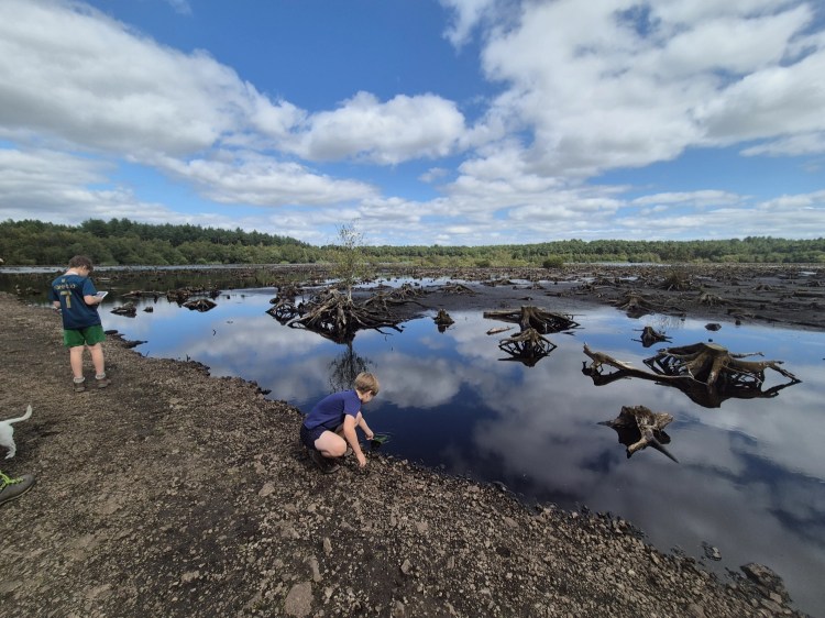 Child crouching beside reflective water with tree roots at the edge of Delamere Forest’s moss area