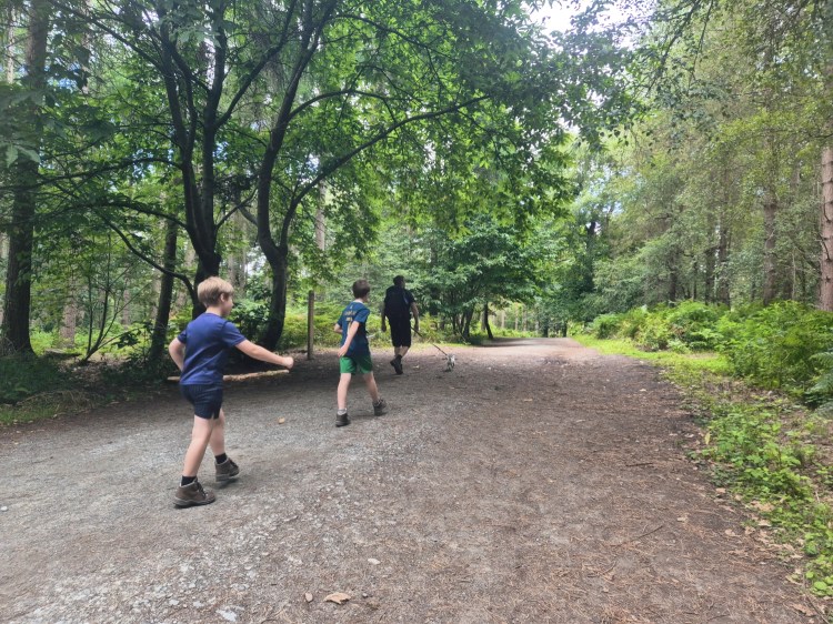 Children walking and skipping along a shaded woodland trail at Delamere Forest