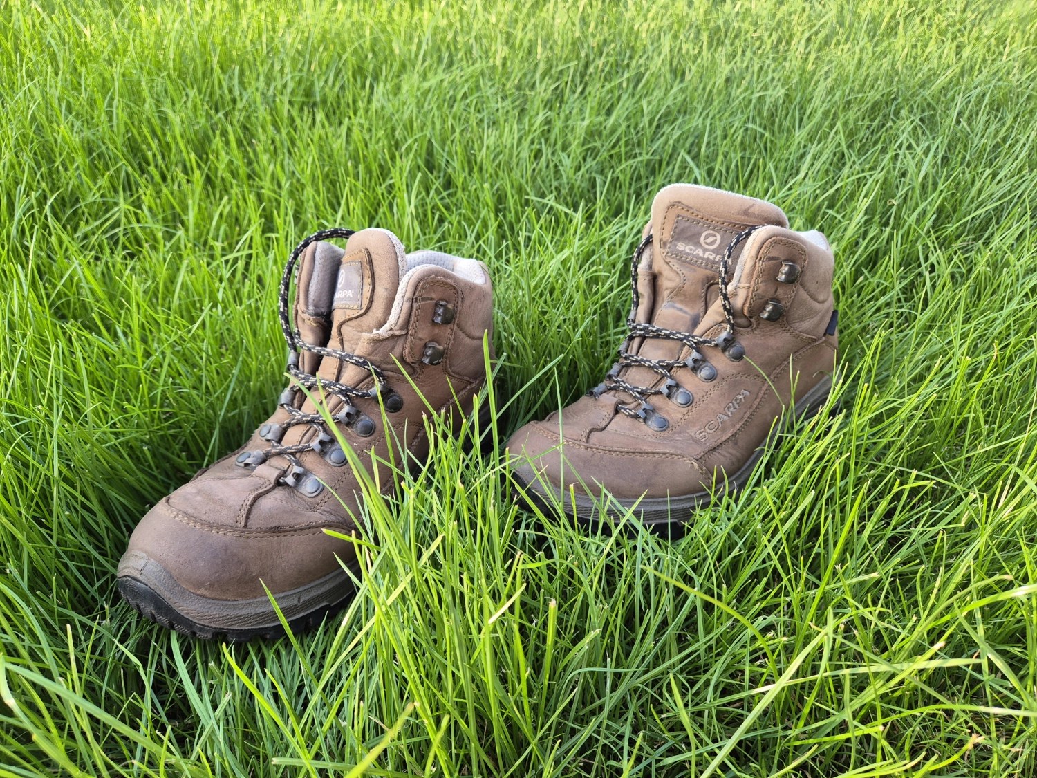 Pair of brown leather walking boots in the grass