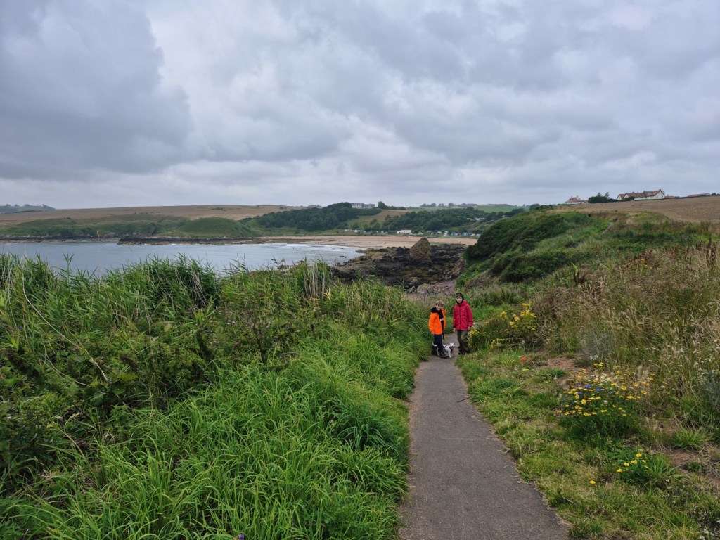 Family walking along a coastal path bordered by wildflowers.