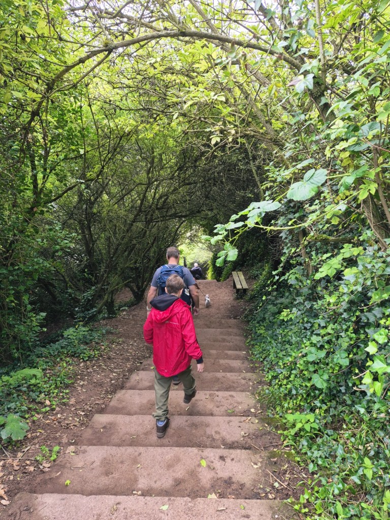 Child in a red coat climbing a tree-lined staircase on a cliff path.