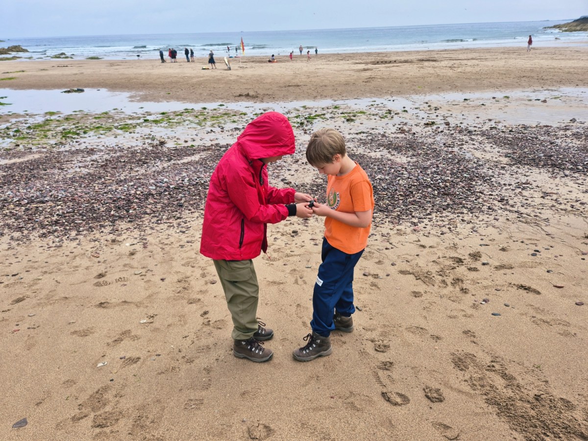 St Abbs to Eyemouth Coastal Walk: A Fun Family Adventure with Secret Beaches along the Berwickshire Coastal&nbsp;Path