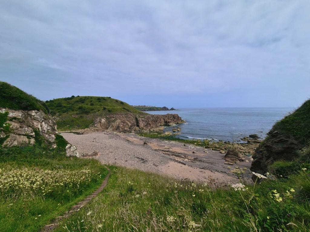 Small cove with sandy beach and rugged green headlands.