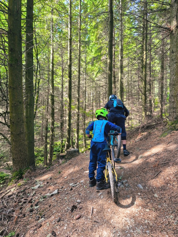 Dad and child pushing mountain bikes uphill through a shaded woodland track.